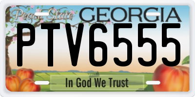 GA license plate PTV6555