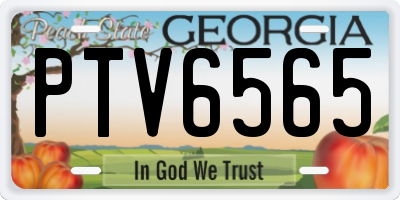 GA license plate PTV6565