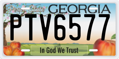 GA license plate PTV6577