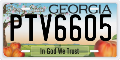 GA license plate PTV6605