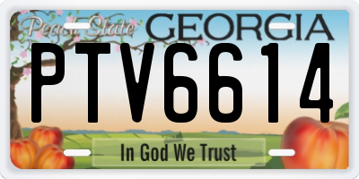 GA license plate PTV6614