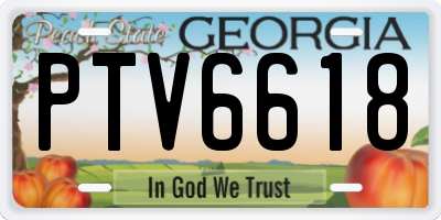 GA license plate PTV6618