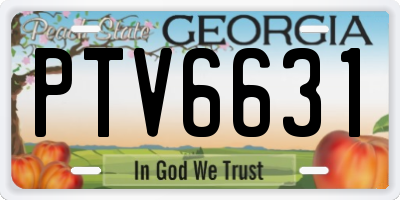 GA license plate PTV6631