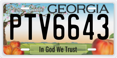 GA license plate PTV6643