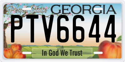 GA license plate PTV6644