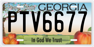 GA license plate PTV6677