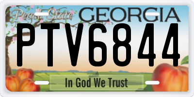 GA license plate PTV6844