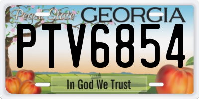 GA license plate PTV6854