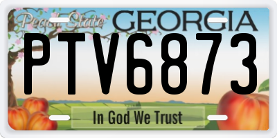 GA license plate PTV6873