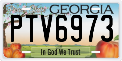 GA license plate PTV6973
