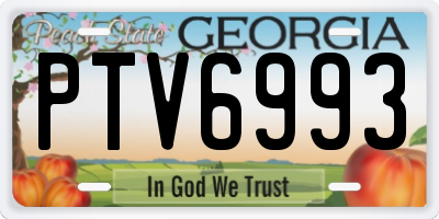 GA license plate PTV6993