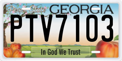 GA license plate PTV7103