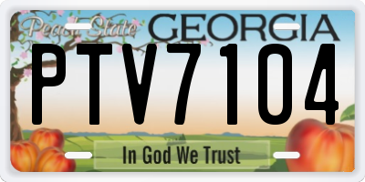 GA license plate PTV7104