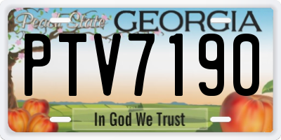 GA license plate PTV7190