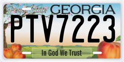 GA license plate PTV7223