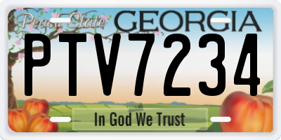 GA license plate PTV7234