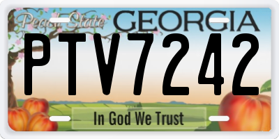 GA license plate PTV7242