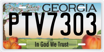 GA license plate PTV7303