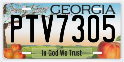 GA license plate PTV7305