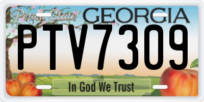 GA license plate PTV7309