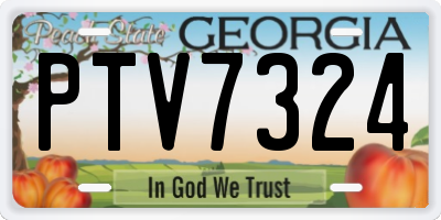 GA license plate PTV7324