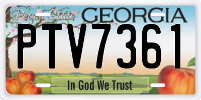 GA license plate PTV7361