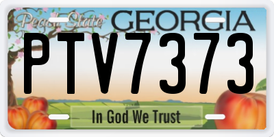 GA license plate PTV7373