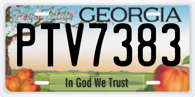 GA license plate PTV7383