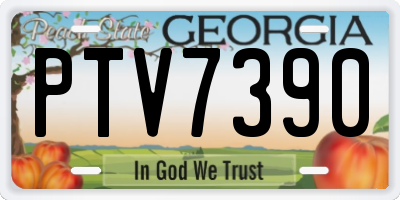 GA license plate PTV7390