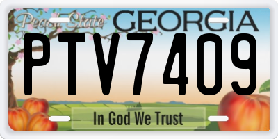 GA license plate PTV7409
