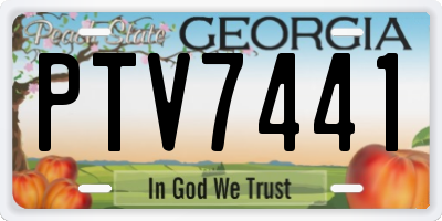 GA license plate PTV7441
