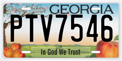 GA license plate PTV7546