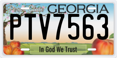 GA license plate PTV7563