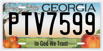 GA license plate PTV7599