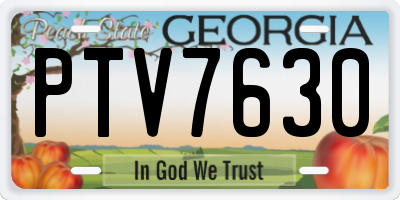 GA license plate PTV7630