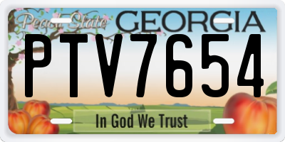 GA license plate PTV7654