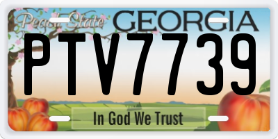 GA license plate PTV7739