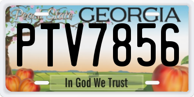 GA license plate PTV7856