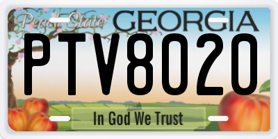 GA license plate PTV8020