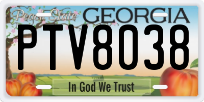 GA license plate PTV8038