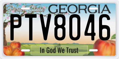 GA license plate PTV8046