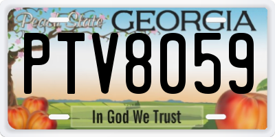 GA license plate PTV8059