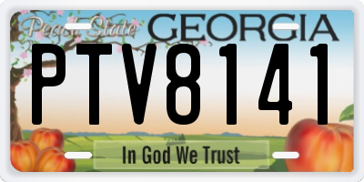 GA license plate PTV8141