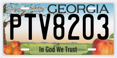 GA license plate PTV8203