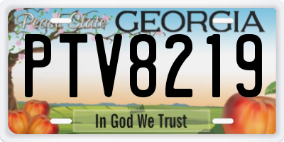 GA license plate PTV8219