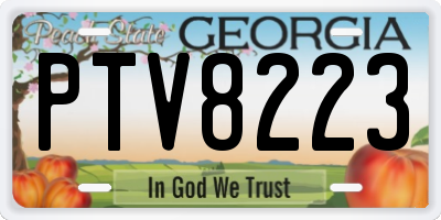 GA license plate PTV8223