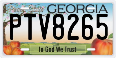 GA license plate PTV8265