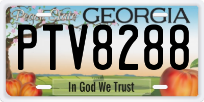 GA license plate PTV8288