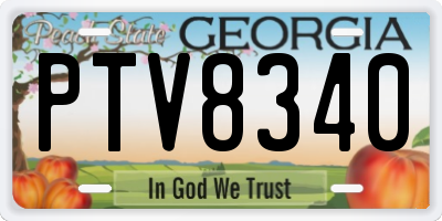 GA license plate PTV8340