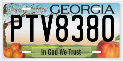 GA license plate PTV8380